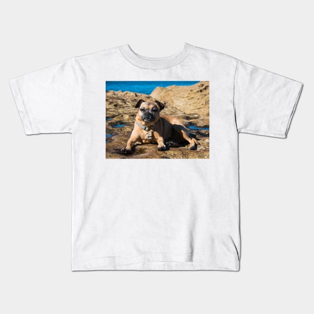 Pug cross jack russell dog sitting on rocks at umina beach on nsw central coast Kids T-Shirt by Geoff79